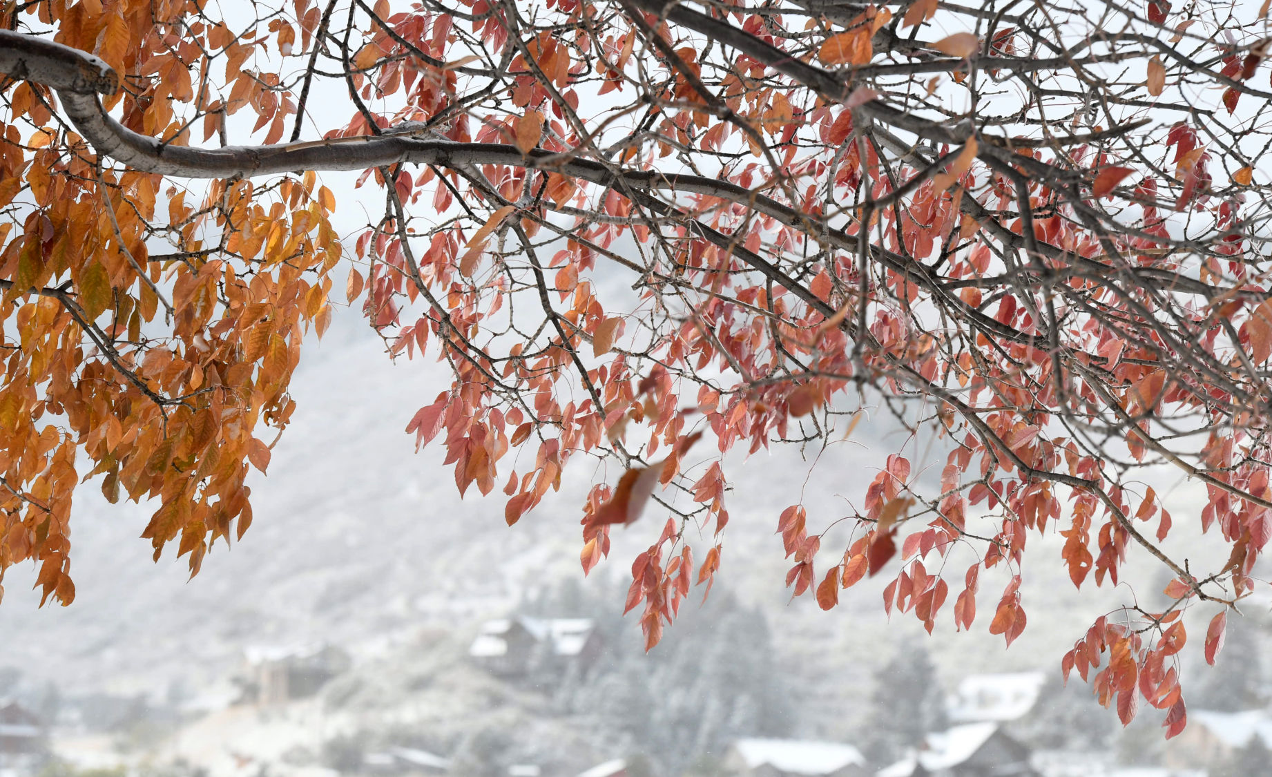 101119-news-weather 153 .jpg
